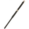 Generique Collier-Laisse Master Me Noir